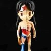 Wonder Woman XXRAY Dissected Mighty JAXX & Kidrobot Mini Figure New
