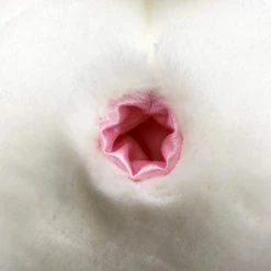 Smorkin Labbit White 14