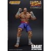 IamRetro.com Sagat Street Fighter II 1/12 Scale Action Figure By Storm Collectibles