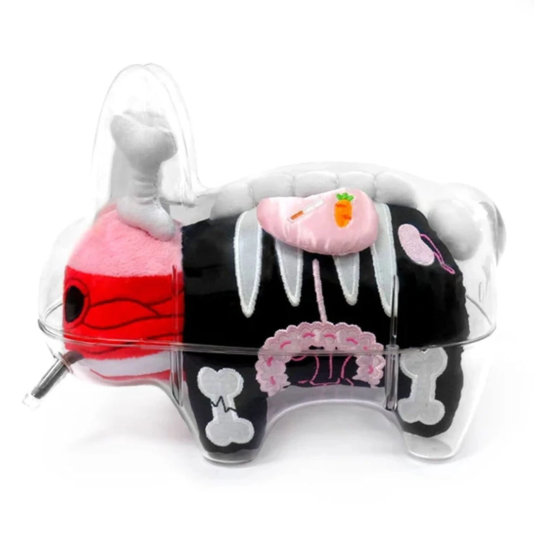 Visible Labbit Plush Guts By Frank Kozik X Kidrobot 2 Visible Labbit Plush Guts By Frank Kozik X Kidrobot