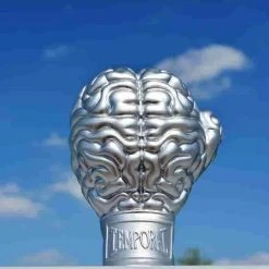 Boxing Brain Series 4.75